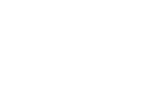 Smart CFO